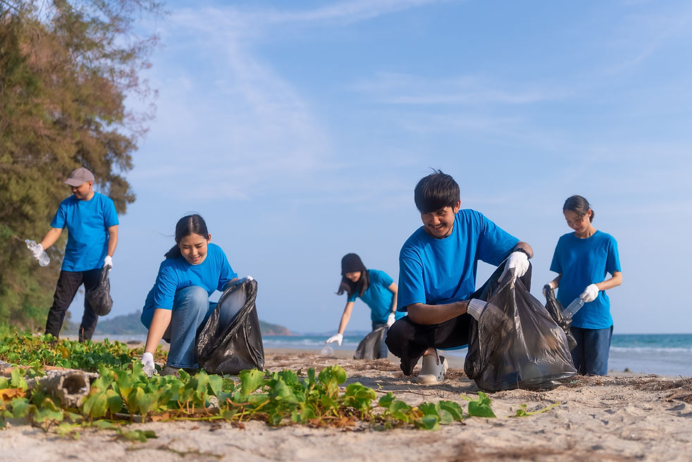 Beach Cleanup Volunteers